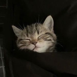 Meet your Posher, Alycia